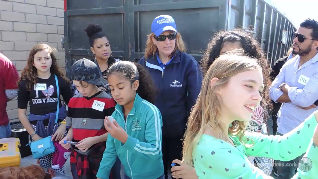 Behind The Scenes of SeaWorld San Diego: SeaWorld Rescue