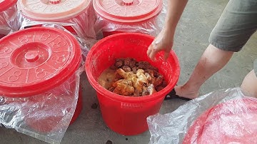 Thăm Cơ Sở Sản Xuất Rượu Chuối Tân Dân Bắc Kạn & Bữa Cơm Vùng Cao