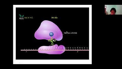 Cơ sở vật chất cấp phân tử là gì năm 2024