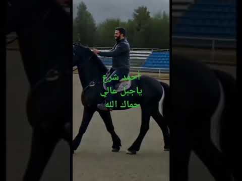 أحمد شرع ياجبل عالي حماك الله سيادة الرئيس الغالي سوريا