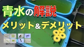 青水 Youtube