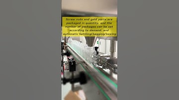 Screw Nut Small Parts Counting Packaging #automaticpackingmachine