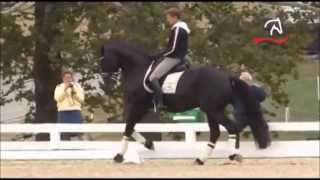 Edward Gal Totilas warm up WEG Kentucky 2010 - one tempis - Part 1