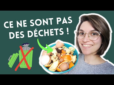 Bokashi ou lombricomposteur : Quelle solution pour composter ses