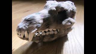 3D Printed Wolf Skull Pigeon Feathered