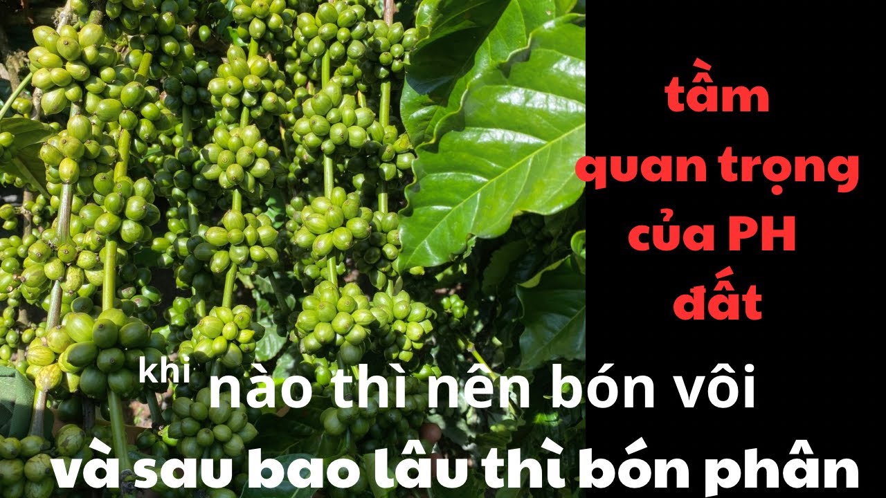 Những lưu quan trọng khi mùa mưa bắt đầu .