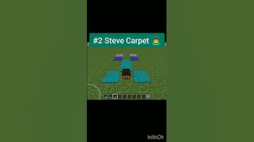 Top 3 Secret Hacks! (Drone,Steve carpet,fish tank) #minecraft #shorts