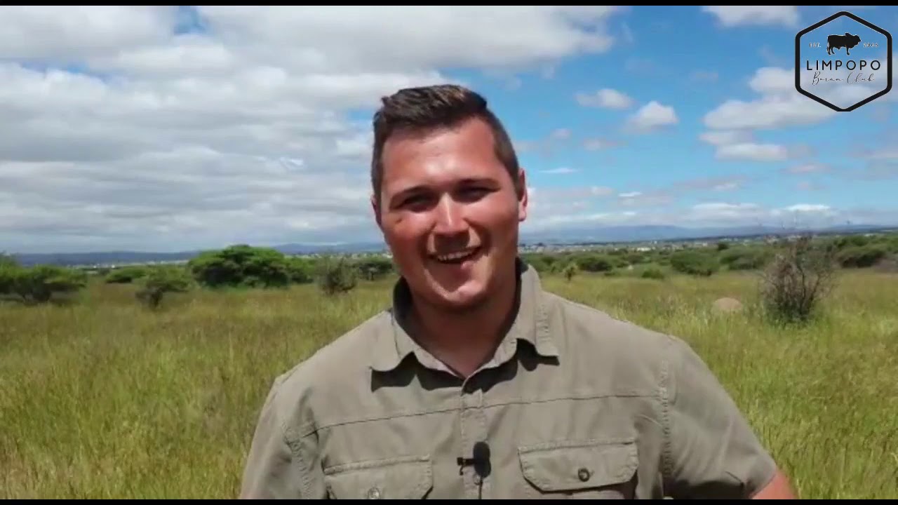 Fase D toets saam met Limpopo Boran Klub