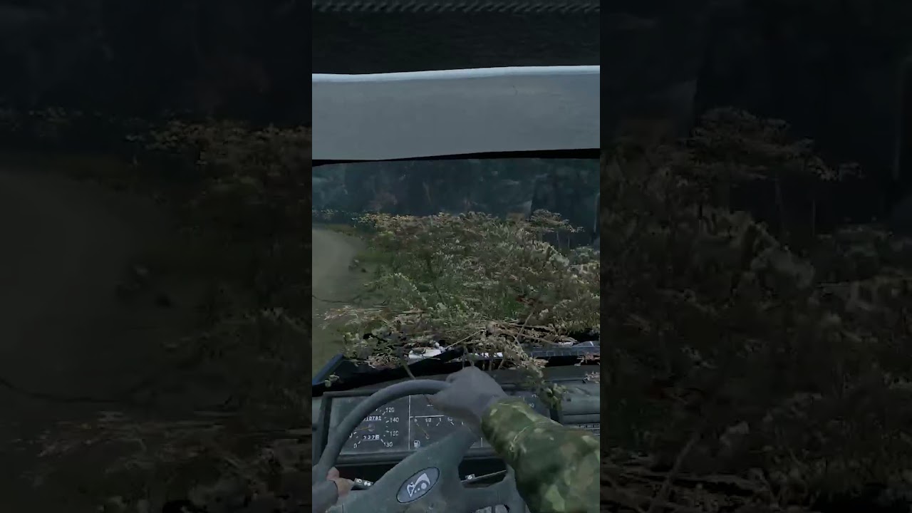 DayZ's Best Driver