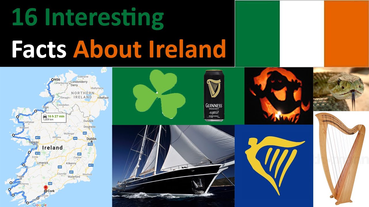 Gay Online Dating Ireland -Get connected now-Gay Personals-Meet guys Tipperary. Looking for casual discreet sex. All ages. Gay Dating. Tipperary. Clonmel. Gay Online Dating Ireland Personals - Vivastreet