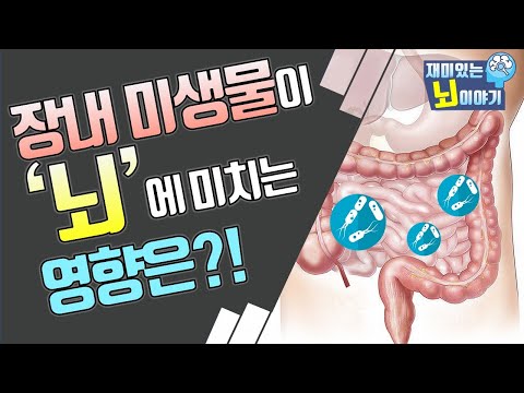 장이 뇌에 영향을 미친다고?! 알츠하이머치매와 장내미생물! (with 마음건강 복식호흡)