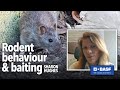 How rodent behaviour influences a baiting plan | BPCA Digital Forum (Jan 2021)