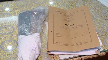 Làm rõ người đục khoét vỏ hàng cây xà cừ trên đường Láng, Hà Nội