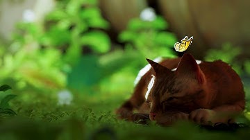 Stray – Walkthrough Part 1 – No Commentary | PC | 4K 60FPS