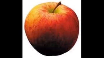 Fruitsalade (ft. DJ JAMES EN BEAU JOJOOOOJO)