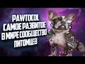 PAWTOCOL - САМОЕ РАЗВИТОЕ В МИРЕ СООБЩЕСТВО ПИТОМЦЕВ