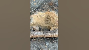 Thumbnail of I’m captivated by Lightning Glass! #Fulgurite 💗 Nature blowing glass by itself! 🤯