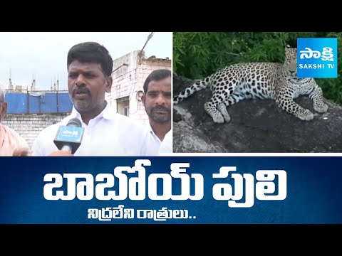 Sakshi Ground Report: Mahabubnagar People Panic With Leopard Hulchul | @SakshiTV - SAKSHITV