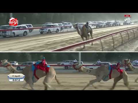 الشوط 4 السيف الذهبي دوله لـ هجن الرئاسة 12 00 08 مهرجان ختامي المرموم 2024 3 28 حول وزمول الشوط 4 السيف الذهبي دوله لـ هجن الرئاسة 12 00 08 مهرجان ختامي المرموم 2024 3 28 حول وزمول