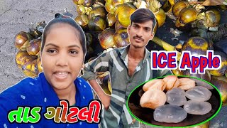 તાડ ગોટલી | Tad Gola | ICE Apple | Daily Life Vlogs |Gujarati vlogs | Village Life Vlogs | Vlogs