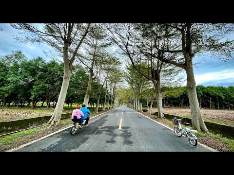 台東旅遊～行車記錄～鹿野鄉龍田綠色隧道騎自行車去。