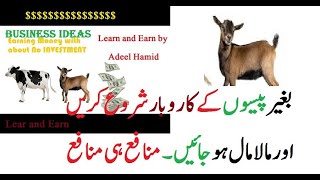 Business idea with no investment |how to make money [goats] |learn
earning in pakistan