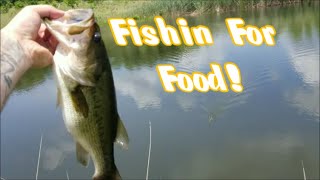 Fishing For CATFISH and BASS!