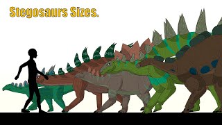 Size Comparison: Stegosaurs Sizes(Animated).