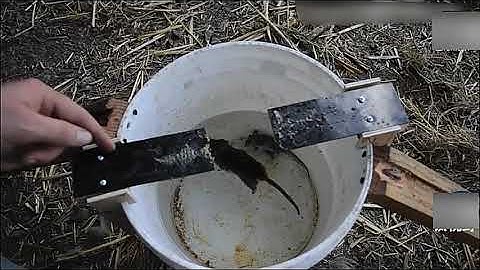 PVN32161 Bẫy Chuột Thông Minh Sập Tự Động An Toàn  Bập Bênh Siêu Nhạy T2