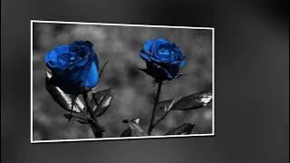 METAL BALLADS Vol  2