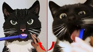 😂Cat Memes: Funny Cats And Dogs Videos 2024🐱🐶,New Funny Animals 2024 😍😁 part 13