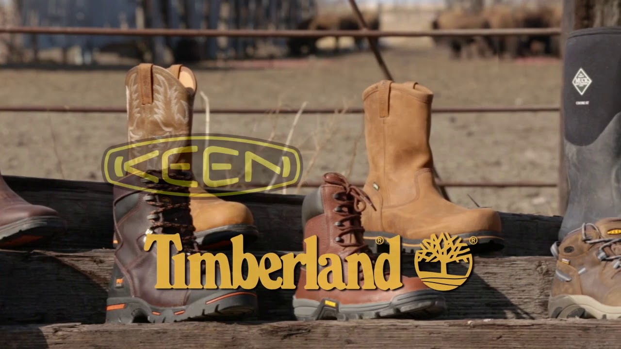 * Home of Economy is Your WorkGear HQ