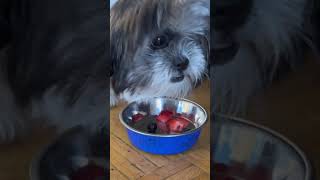 I'm eating blueberries and strawberries. Mmmmmmmmm