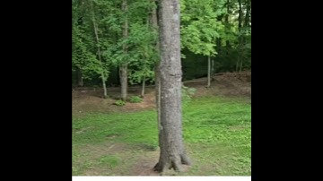 Live your life to be PRESENT & POSITIVE for those that CHOOSE social media isn’t real, your life is!