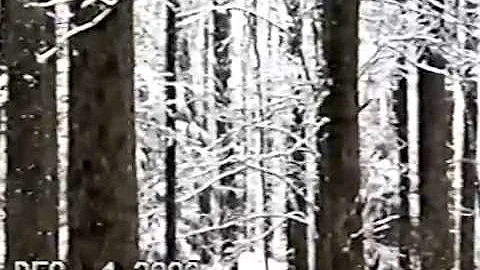Ronnie Landry & Tom Marcel in Gatlinburg Part 1 -D...