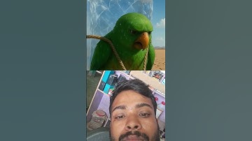 Building an Ice House with Parrot AI