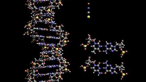 DNA | Wikipedia audio article