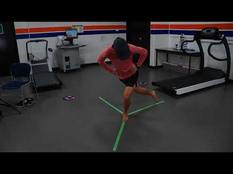 'Y' Balance Test