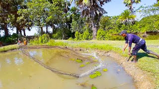 Best Cast Net Fishing - The Village Fishing Fishing With Beautiful Natural Net Fishing