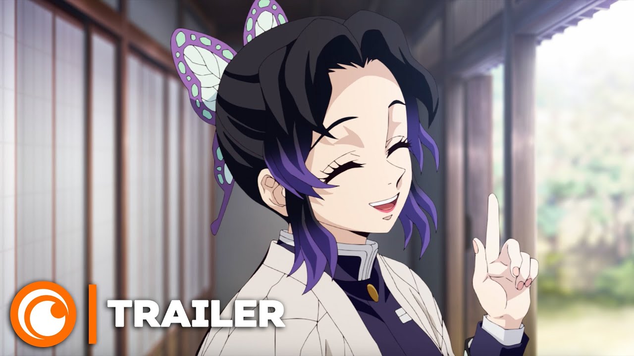 Demon Slayer Kimetsu no Yaiba Lentranement des piliers  TRAILER VOSTFR