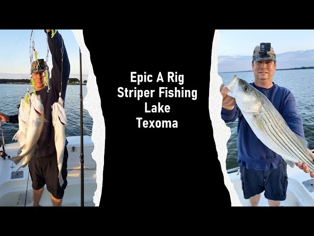 Epic Texoma Striper Trip with Captain Ed's Guide Service! Trolling A Rigs  to Catch Big Striper! 