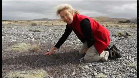 Susan Wiser talks about recent research on shingle...
