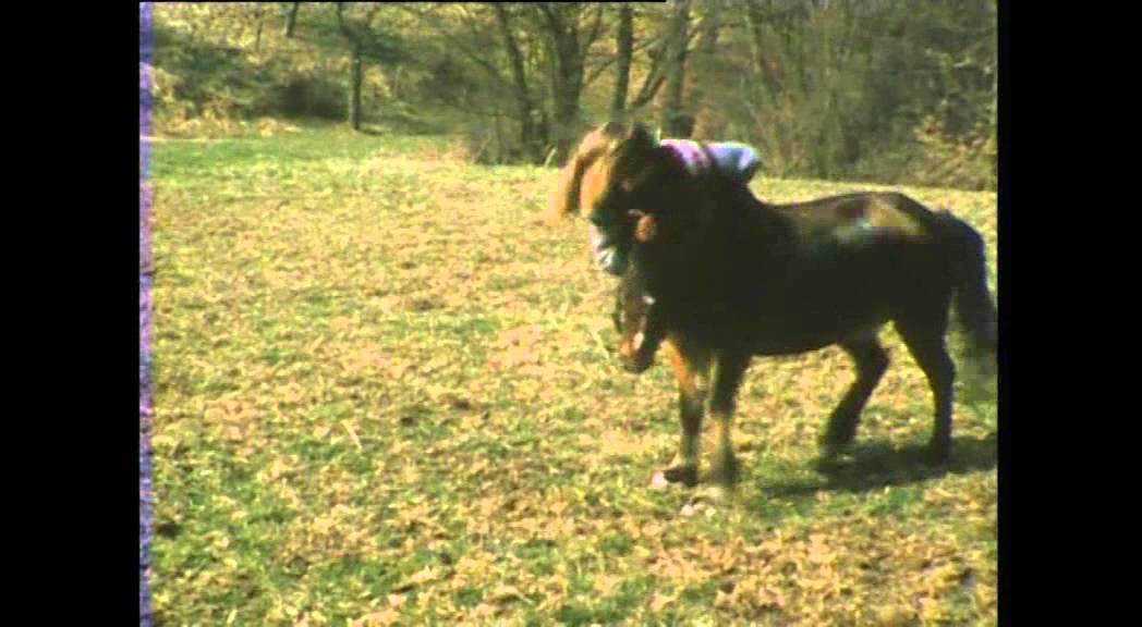 ⁣In Memory of Christine Auch