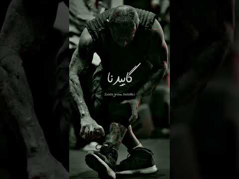 پرواز کنی میگن علیله تتلیتی تتلو امیرتتلو