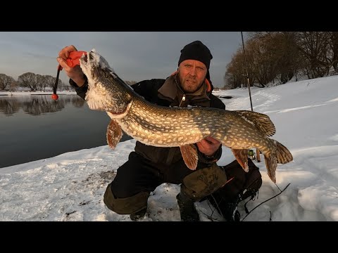 ТРОФЕИ МОСКВА-РЕКИ! ДЖИГ ЗИМОЙ, рыбалка на СПИННИНГ в последний день ЗИМЫ,ЩУКА, СУДАК, ОКУНЬ, КАРАСЬ