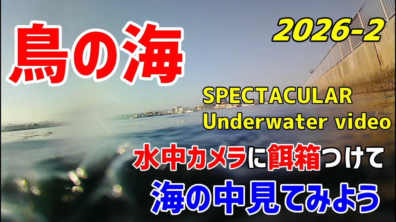 これは水か空気か　鳥の海　Is This Water or Air  torinoumi