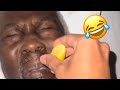 Try not to laugh 4   compilation of the best funnys