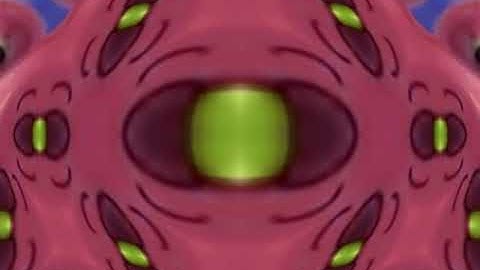 zoopals in defeated abjust so mirror