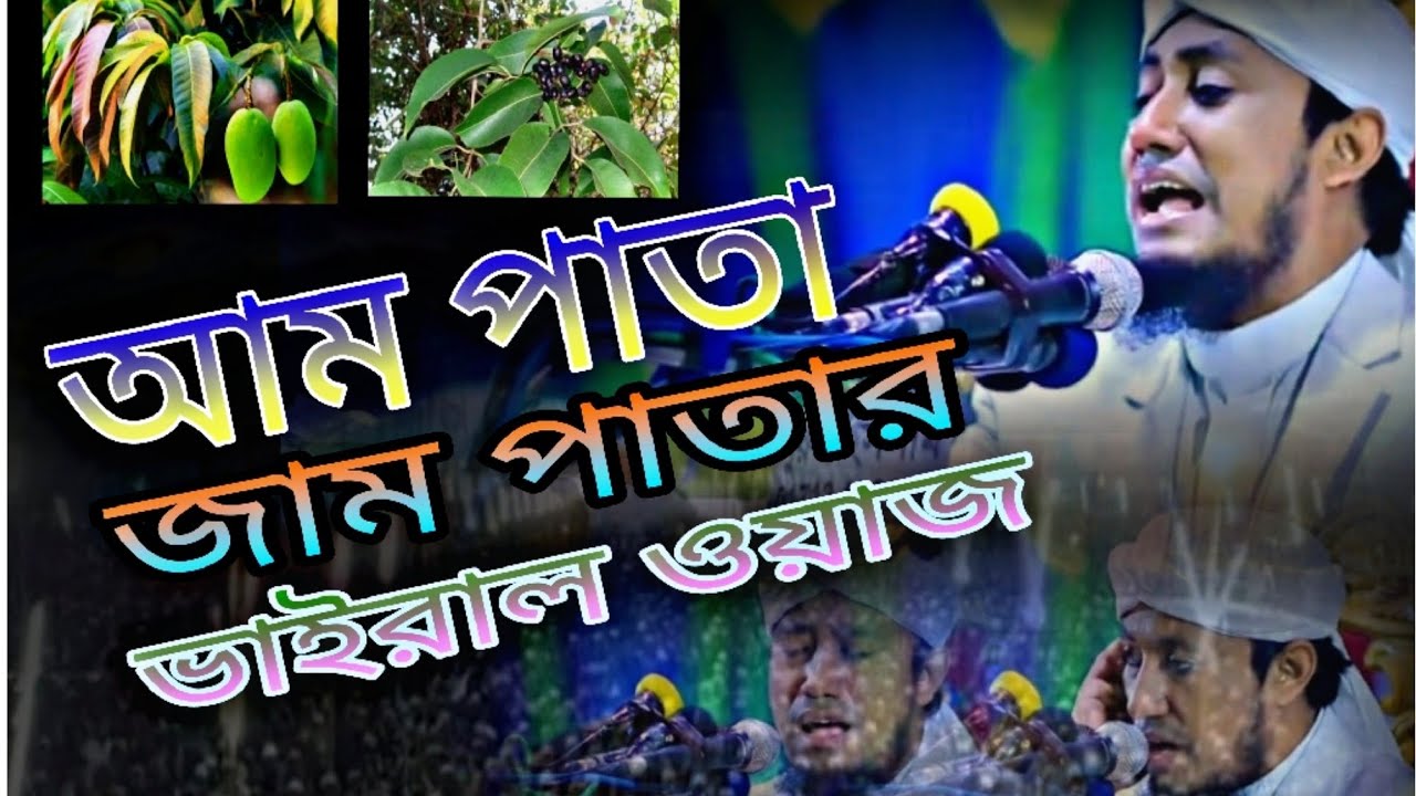 আম পাতা জাম পাতার ভাইরাল ওয়াজ 🍃আলোচক/ গিয়াসউদ্দিন আত তাহেরী সাহেব 🔥