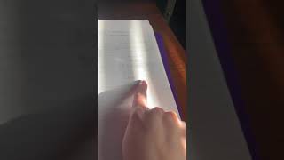 IMG 9874